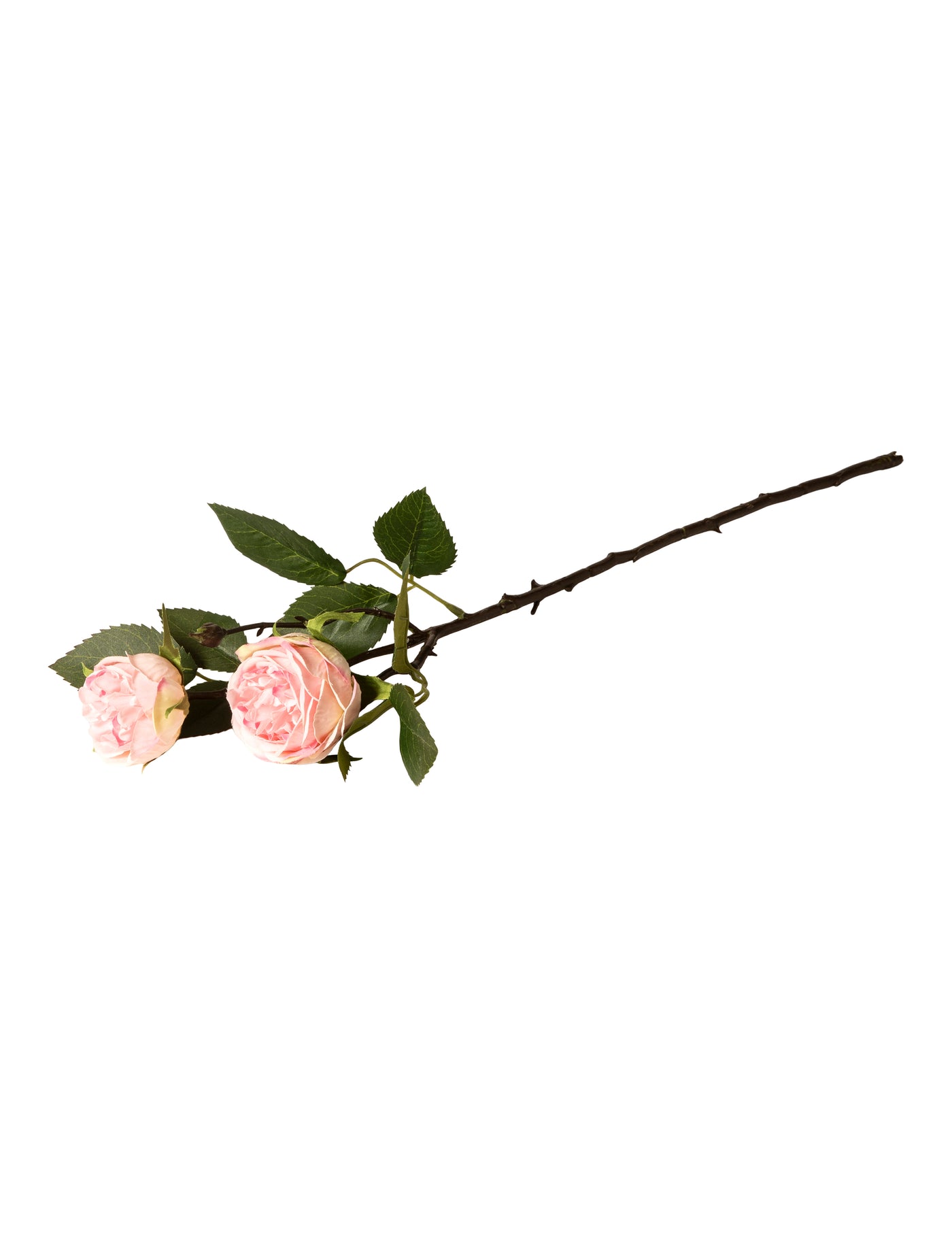 Rose 6x54 cm polyester pink