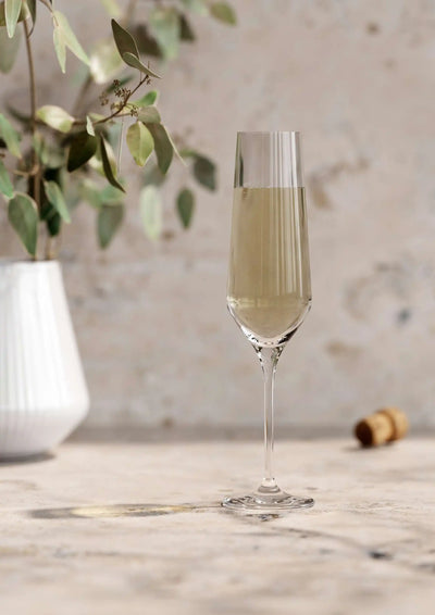 Eva Solo - Legio Nova vinglas Champagne 6 st. 26 cl
