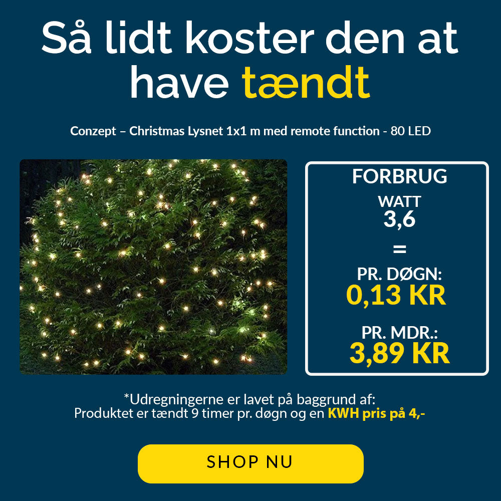 Conzept Christmas - Lysnet 1x1 m 80 LED varmhvid - med remote function
