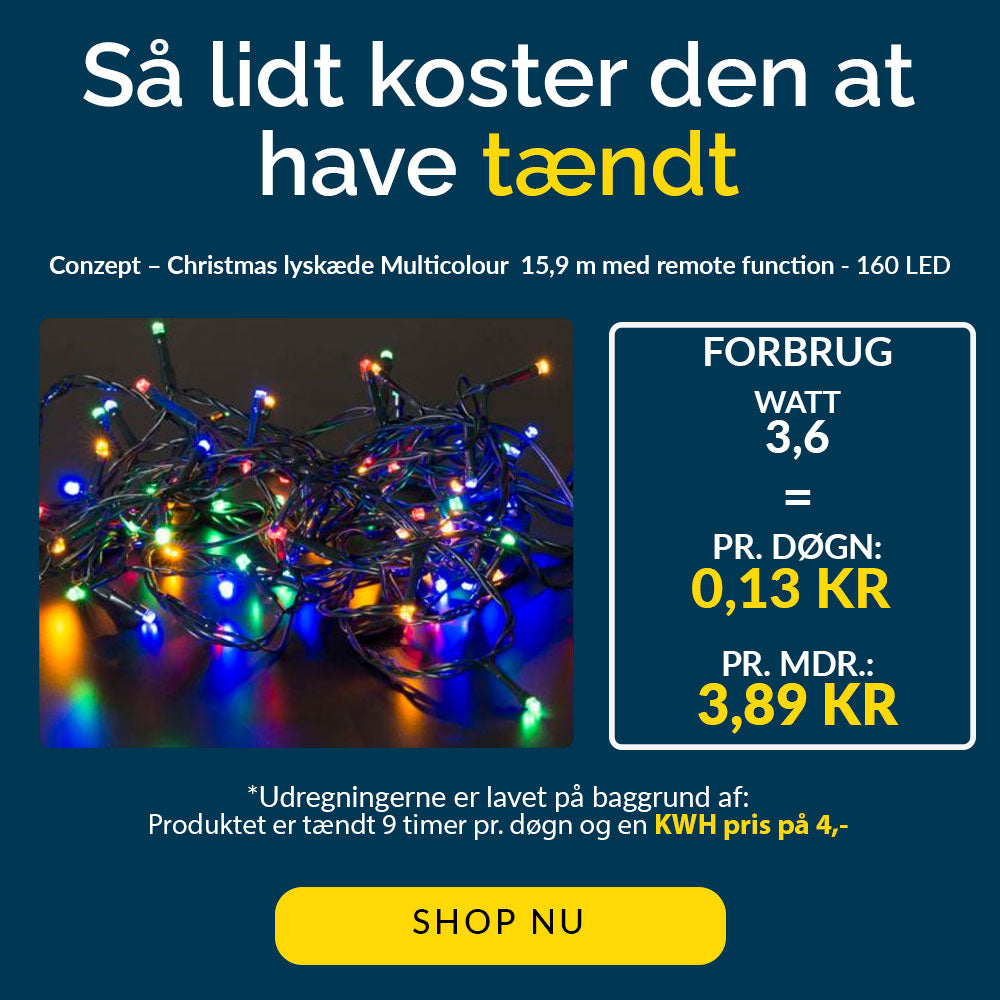 Conzept Christmas - Lyskæde Multicolor med remote function - 160 LED
